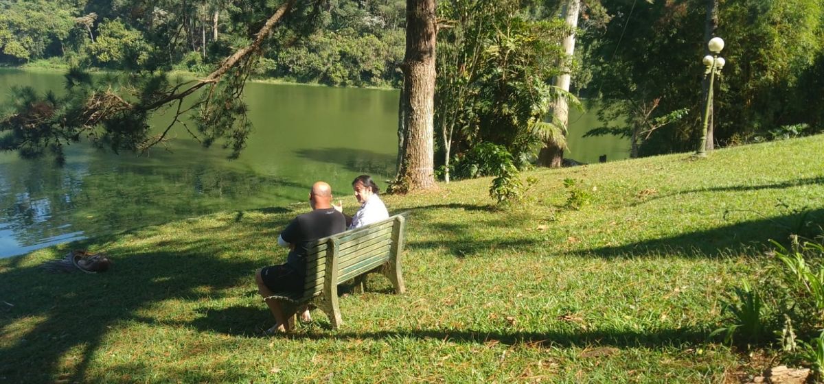 ?  Impactos no Aumento do Porte de Maconha para dependência química e uso e abuso de drogas 